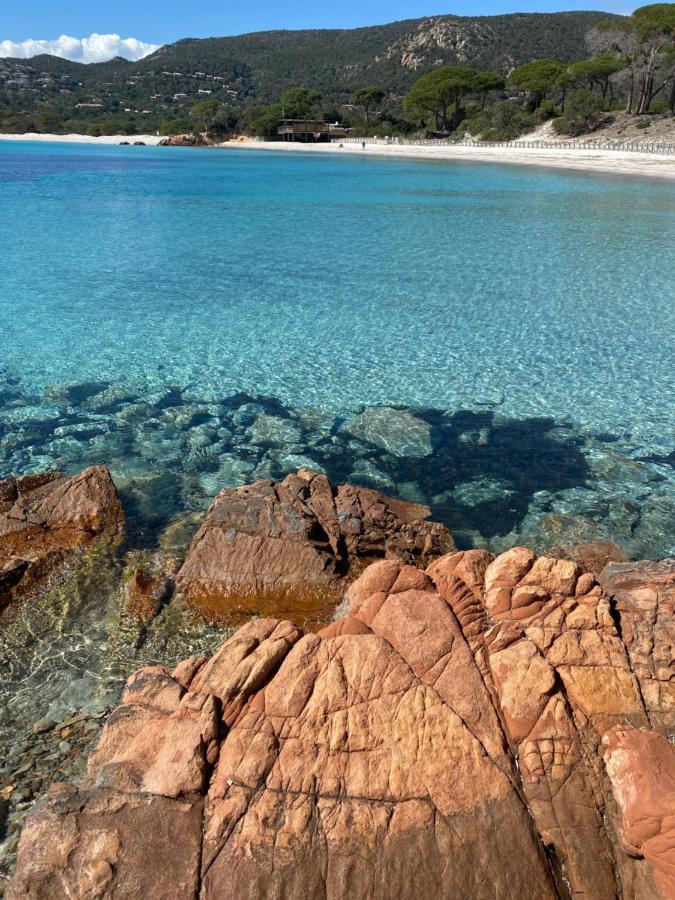 Palombaggia Location I Pini Porto Vecchio Hotel Luaran gambar