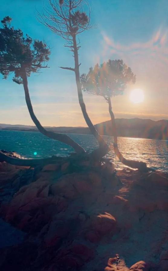 Palombaggia Location I Pini Porto Vecchio Hotel Luaran gambar